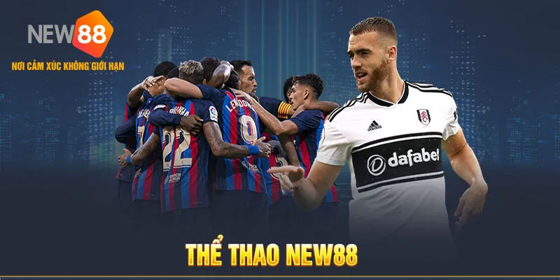 Thể Thao New88: Sân Chơi Đỉnh Cao Cho Tín Đồ Đam Mê!